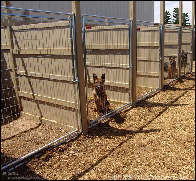 犬舍设计cuk国际标准